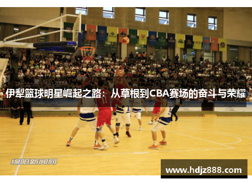 伊犁篮球明星崛起之路：从草根到CBA赛场的奋斗与荣耀