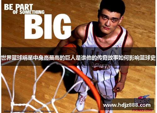 世界篮球明星中身高最高的巨人是谁他的传奇故事如何影响篮球史